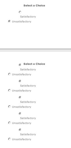 button choice 2.JPG