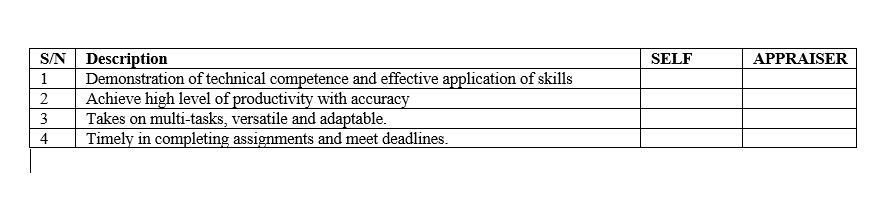 apprasial form example.JPG