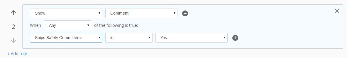 Radio Button 3.JPG