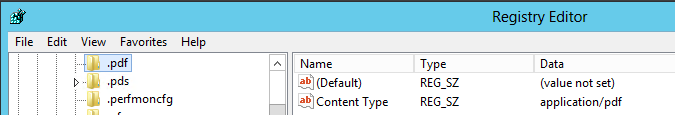 Registry PDF Content Type.png