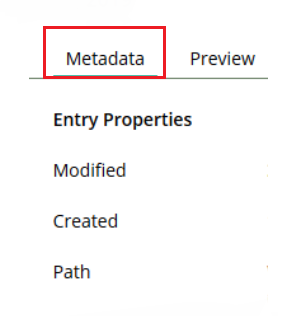 Metadata Tab-WL 10.1.PNG