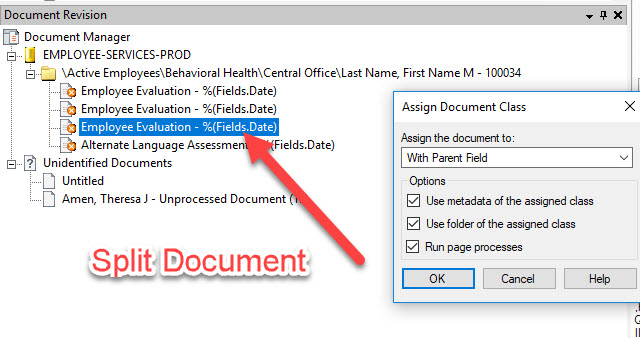 Split Document.jpg