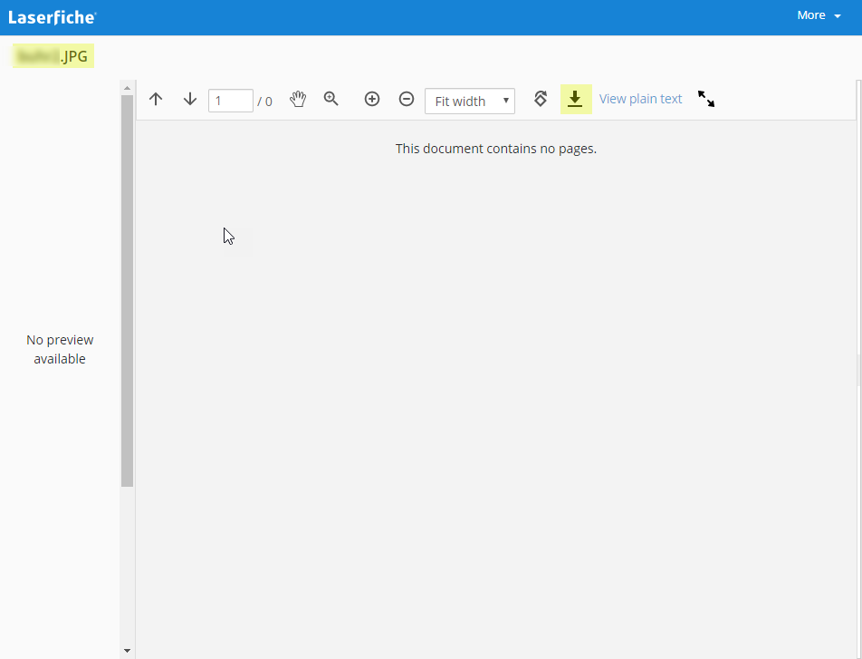 weblink 10.1 - no pages in document viewer.png