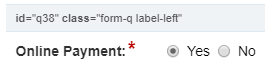 Online Payment.png