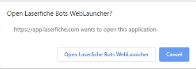 Bot Prompt in Chrome.JPG