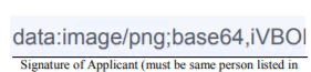 Signature Look on PDF.png