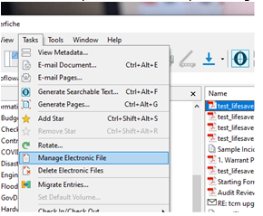 ManageElectronicFile.PNG