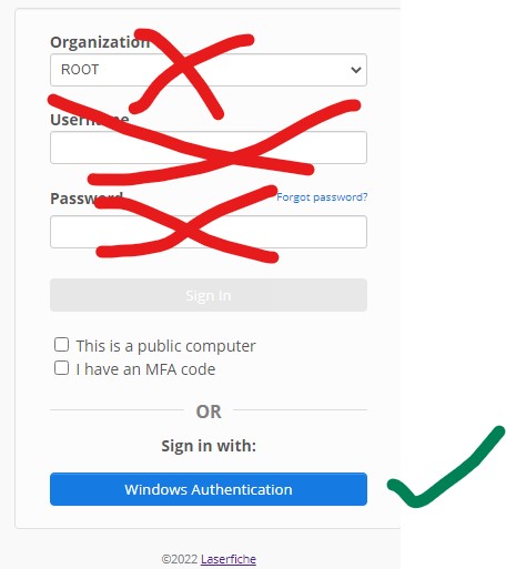 Windows Authentication.jpg