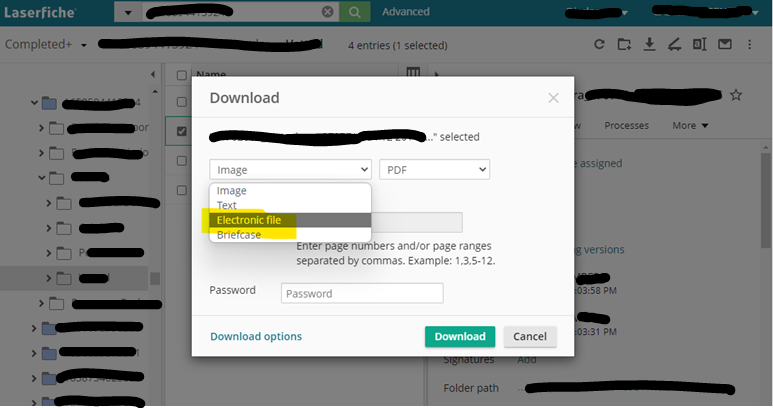 default download format.PNG