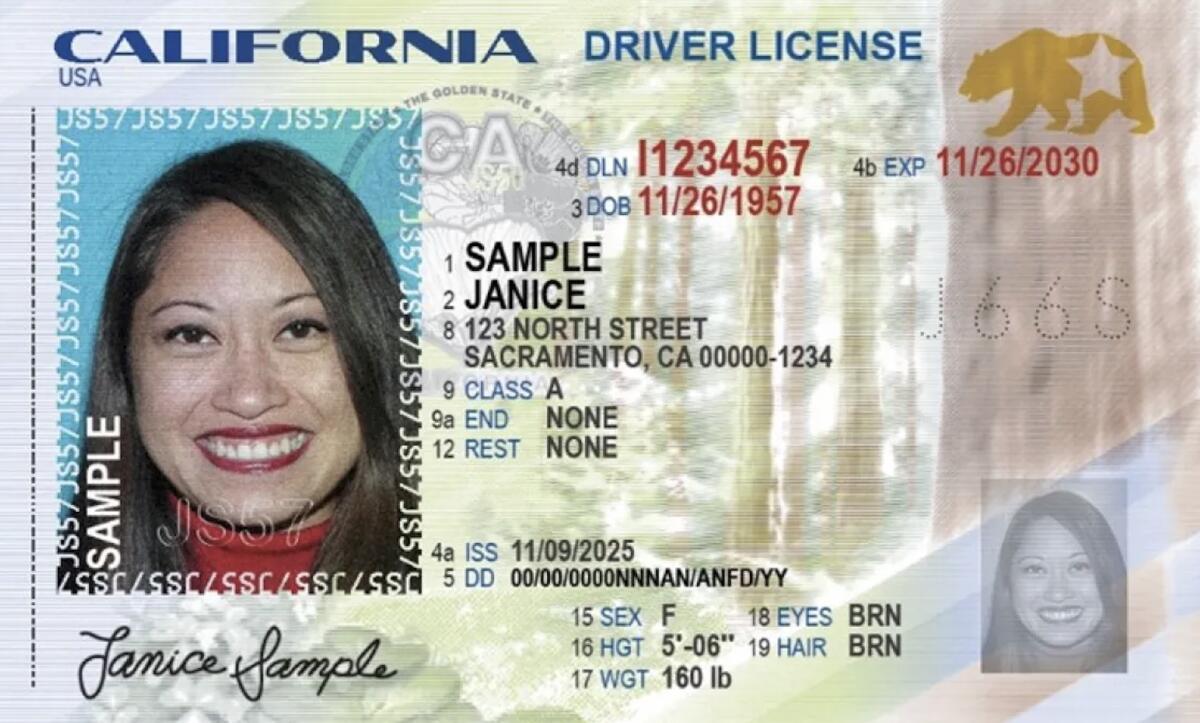 Sample DL.jpg