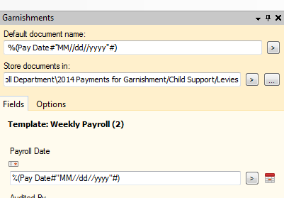 Garnishment Task Pane.PNG