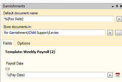 Garnishment Task Pane.PNG