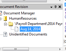 Garnishment Revision Pane.PNG