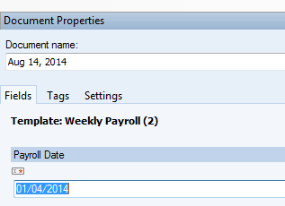 Garnishment Task Pane.PNG